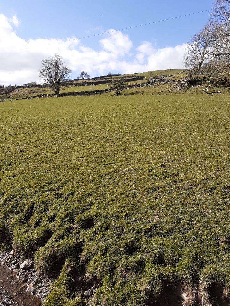 Wales Landscape