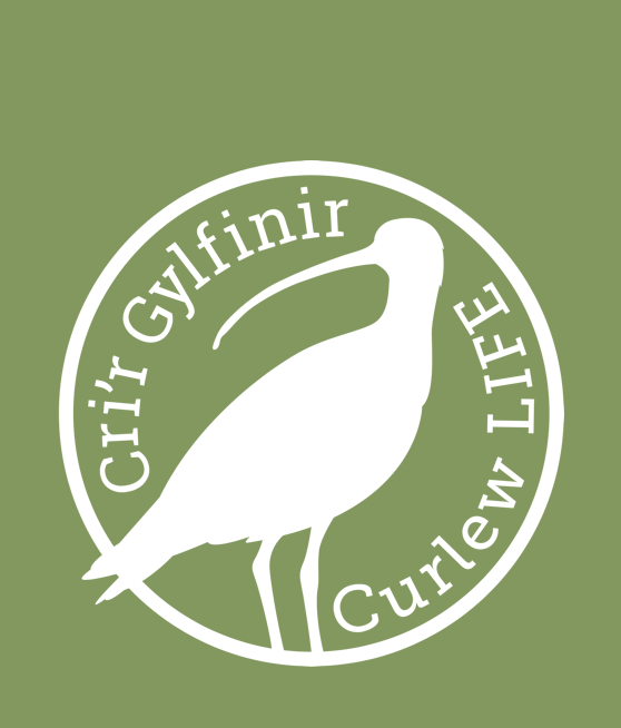 Curlew LIFE logo bilingual