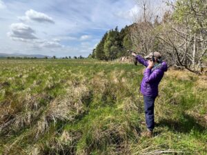 Intern Martine Stead holding out a radio aerial and listening through headphones to search for Curlew chicks, with field and hedge in background.
