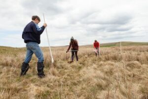 Three people putting poles into the ground in an upland field for temporary electric fencing to protect a Curlew nest. © Jake Stephen