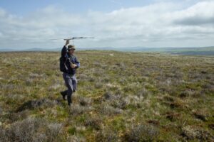 A man in an upland moor holding up an antenna - Sam McCready from RSPB tracking Curlews © Jake Stephen