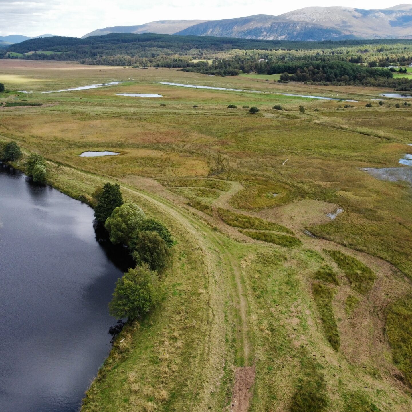 Drone image of the Dell of Killiehuntly, Insh Marshes. Clearly showing the result of the topping management.